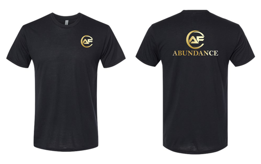 Next Level Triblend T-Shirt